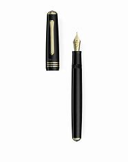 rich foundtain pen